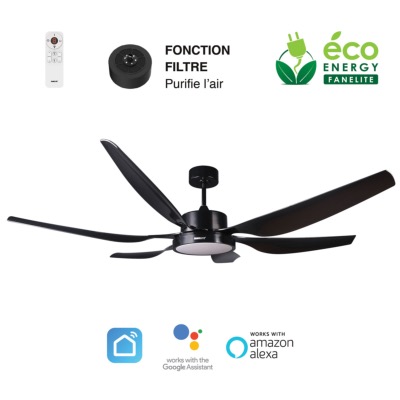 Brasseur d'air DC 168cm avec télécommande - 6 pales - LED - Noir